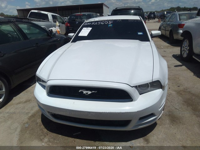 Photo 5 VIN: 1ZVBP8AM7E5262495 - FORD MUSTANG 