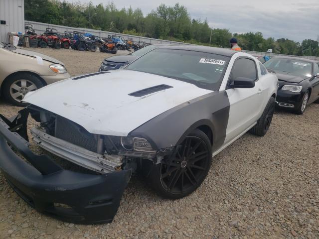 Photo 1 VIN: 1ZVBP8AM7E5269978 - FORD MUSTANG 