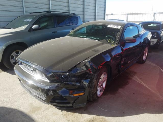 Photo 1 VIN: 1ZVBP8AM7E5282441 - FORD MUSTANG 