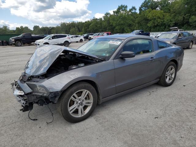 Photo 0 VIN: 1ZVBP8AM7E5287140 - FORD MUSTANG 