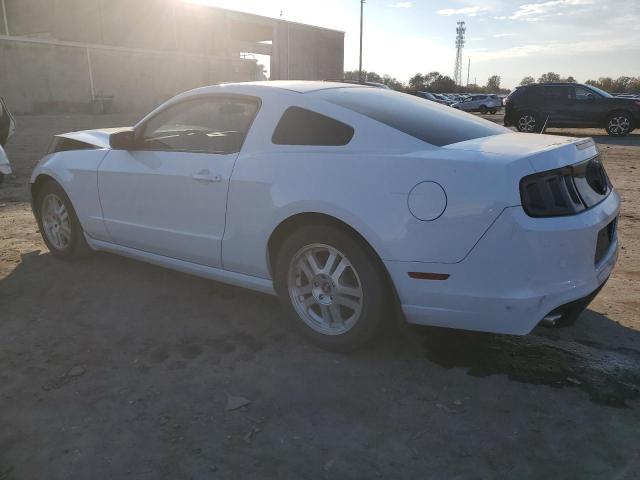 Photo 1 VIN: 1ZVBP8AM7E5295979 - FORD MUSTANG 