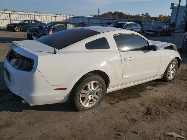 Photo 2 VIN: 1ZVBP8AM7E5295979 - FORD MUSTANG 