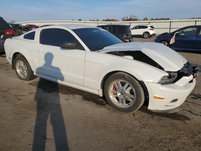 Photo 3 VIN: 1ZVBP8AM7E5295979 - FORD MUSTANG 