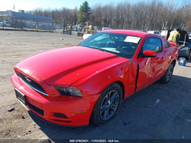 Photo 1 VIN: 1ZVBP8AM7E5303109 - FORD MUSTANG 