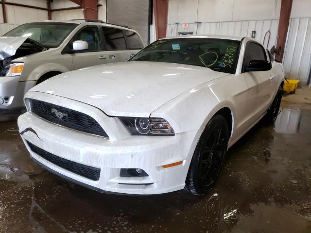 Photo 1 VIN: 1ZVBP8AM7E5320055 - FORD MUSTANG 