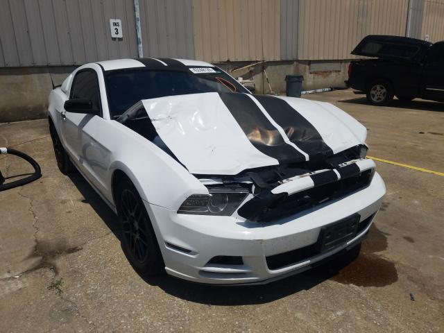 Photo 0 VIN: 1ZVBP8AM7E5327006 - FORD MUSTANG 