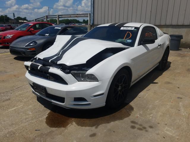 Photo 1 VIN: 1ZVBP8AM7E5327006 - FORD MUSTANG 