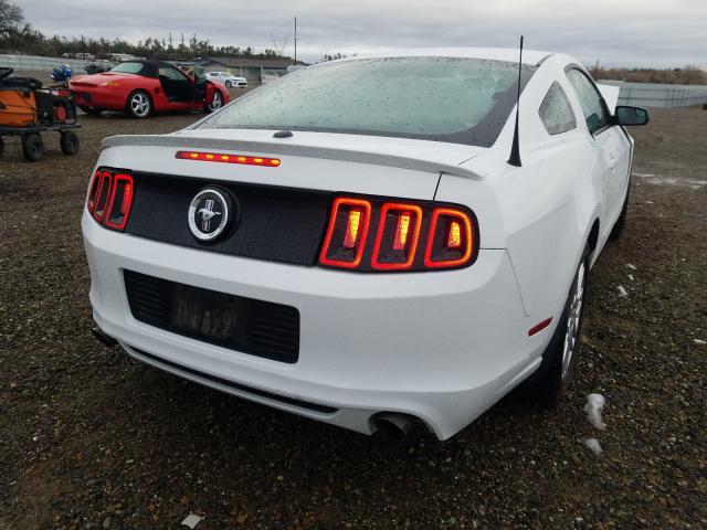 Photo 3 VIN: 1ZVBP8AM7E5328205 - FORD MUSTANG 