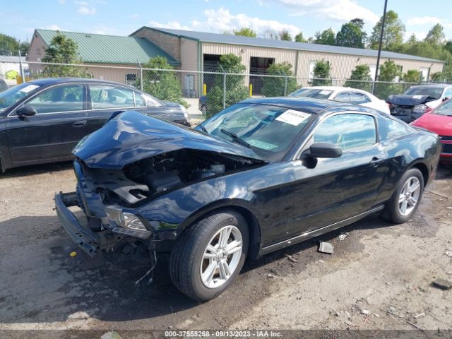 Photo 1 VIN: 1ZVBP8AM7E5331119 - FORD MUSTANG 