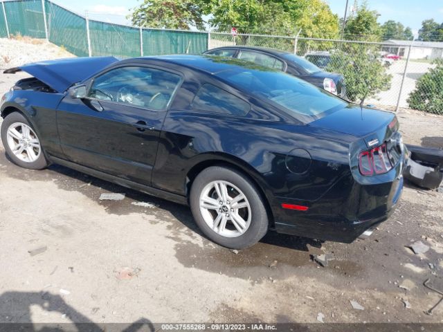 Photo 2 VIN: 1ZVBP8AM7E5331119 - FORD MUSTANG 