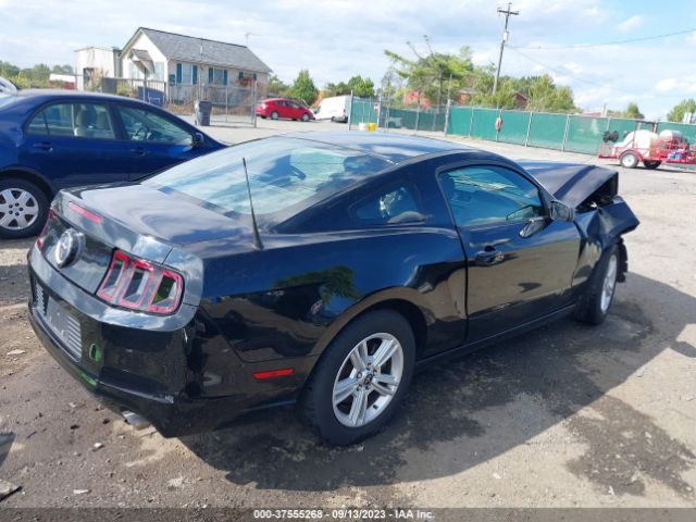 Photo 3 VIN: 1ZVBP8AM7E5331119 - FORD MUSTANG 