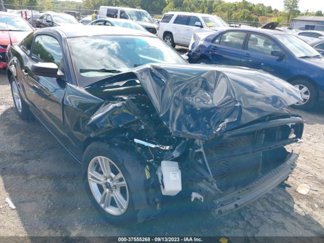 Photo 5 VIN: 1ZVBP8AM7E5331119 - FORD MUSTANG 