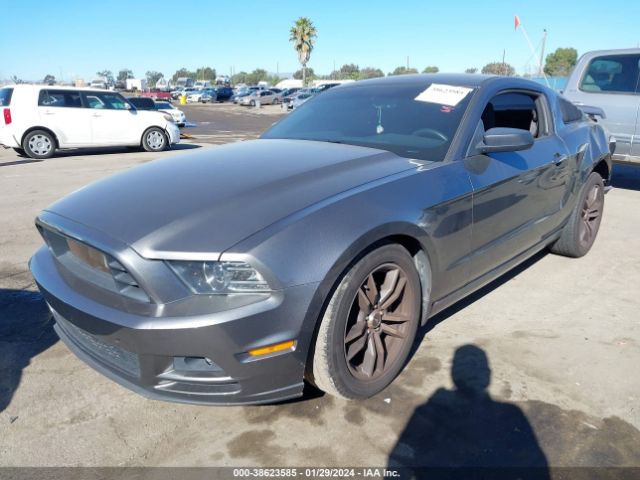 Photo 1 VIN: 1ZVBP8AM7E5333839 - FORD MUSTANG 