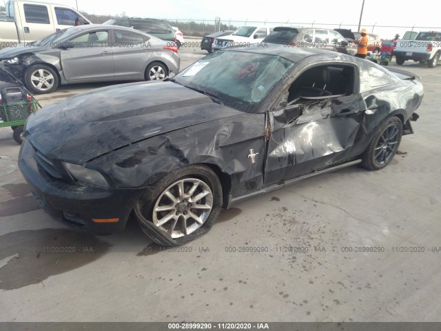 Photo 1 VIN: 1ZVBP8AM8B5101231 - FORD MUSTANG 