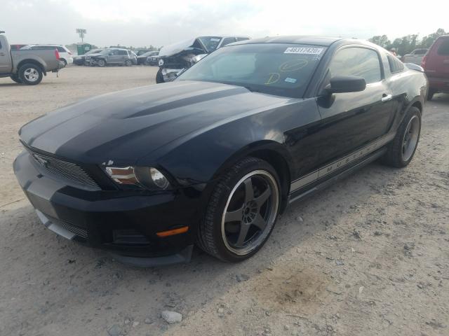 Photo 1 VIN: 1ZVBP8AM8B5125318 - FORD MUSTANG 