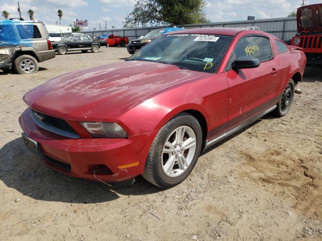 Photo 1 VIN: 1ZVBP8AM8B5125562 - FORD MUSTANG 