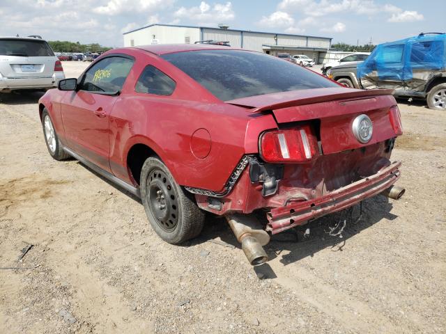 Photo 2 VIN: 1ZVBP8AM8B5125562 - FORD MUSTANG 