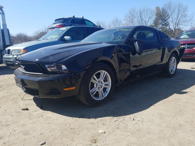 Photo 1 VIN: 1ZVBP8AM8B5132348 - FORD MUSTANG 