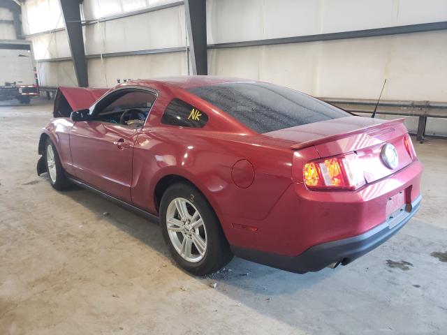 Photo 2 VIN: 1ZVBP8AM8B5134553 - FORD MUSTANG 