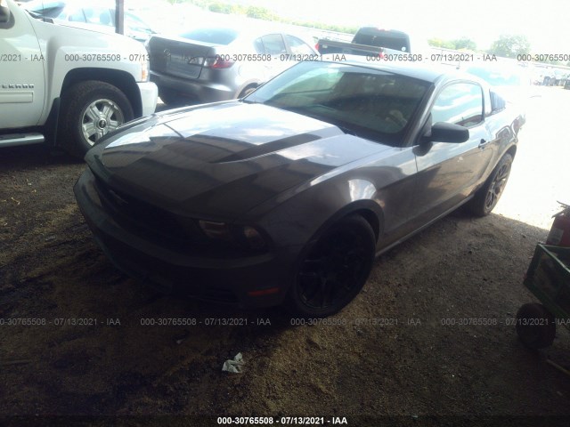 Photo 1 VIN: 1ZVBP8AM8B5160408 - FORD MUSTANG 