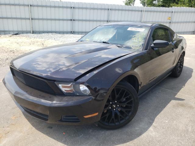 Photo 1 VIN: 1ZVBP8AM8C5207809 - FORD MUSTANG 