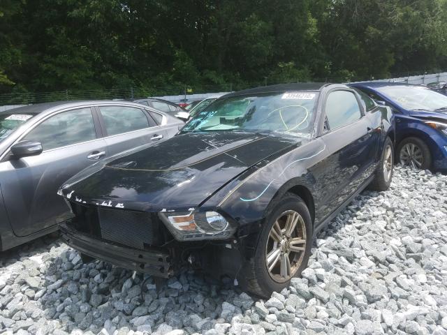 Photo 1 VIN: 1ZVBP8AM8C5211407 - FORD MUSTANG 