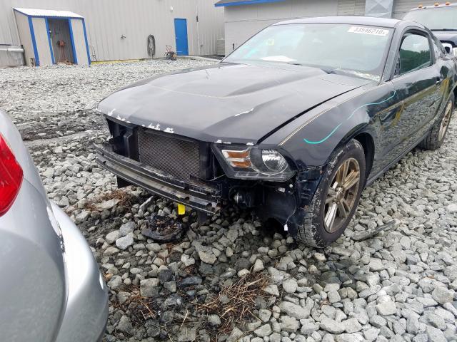 Photo 8 VIN: 1ZVBP8AM8C5211407 - FORD MUSTANG 