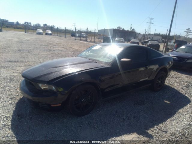 Photo 1 VIN: 1ZVBP8AM8C5236310 - FORD MUSTANG 