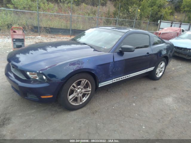 Photo 1 VIN: 1ZVBP8AM8C5245153 - FORD MUSTANG 