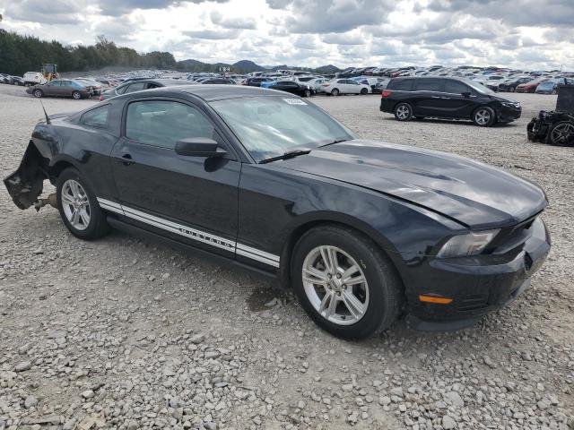 Photo 3 VIN: 1ZVBP8AM8C5264589 - FORD MUSTANG 