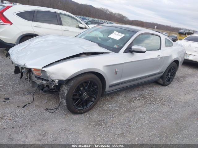 Photo 1 VIN: 1ZVBP8AM8C5273941 - FORD MUSTANG 