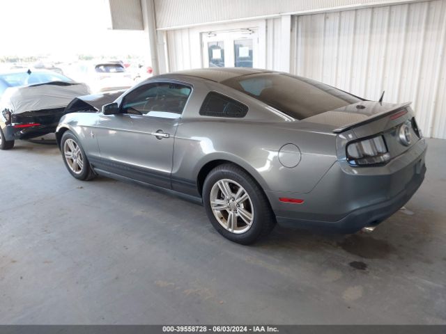 Photo 2 VIN: 1ZVBP8AM8C5277472 - FORD MUSTANG 