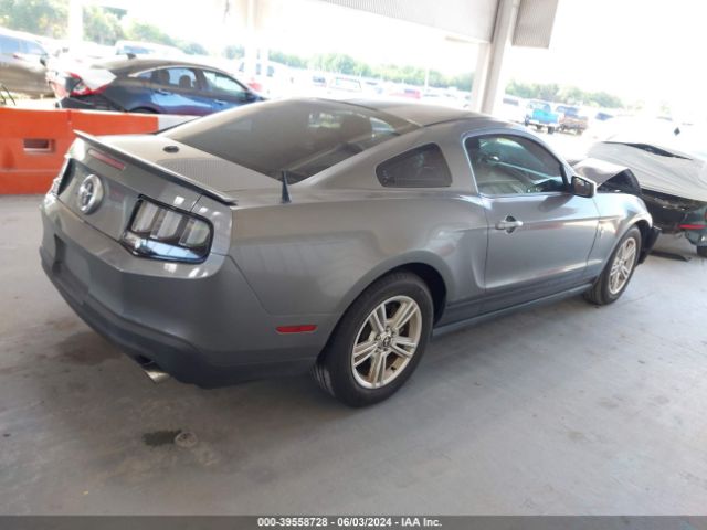 Photo 3 VIN: 1ZVBP8AM8C5277472 - FORD MUSTANG 