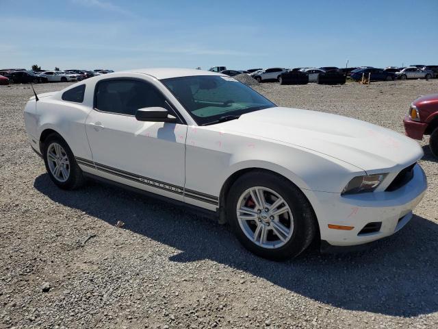 Photo 3 VIN: 1ZVBP8AM8C5283997 - FORD MUSTANG 