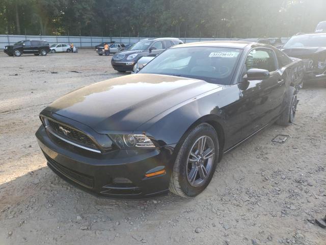 Photo 1 VIN: 1ZVBP8AM8D5204216 - FORD MUSTANG 