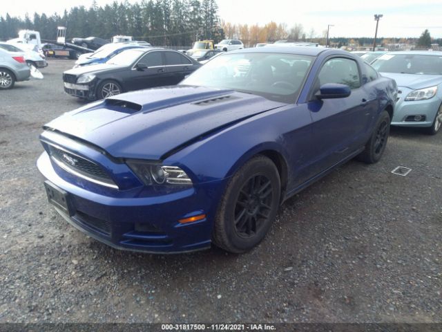 Photo 1 VIN: 1ZVBP8AM8D5219069 - FORD MUSTANG 