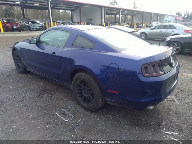 Photo 2 VIN: 1ZVBP8AM8D5219069 - FORD MUSTANG 