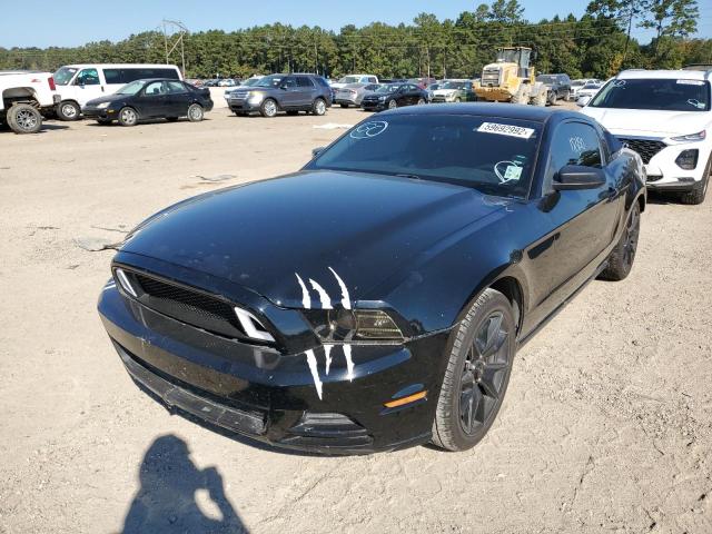 Photo 1 VIN: 1ZVBP8AM8D5235370 - FORD MUSTANG 