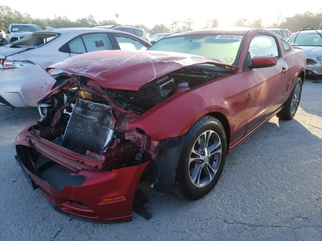 Photo 1 VIN: 1ZVBP8AM8D5239516 - FORD MUSTANG 