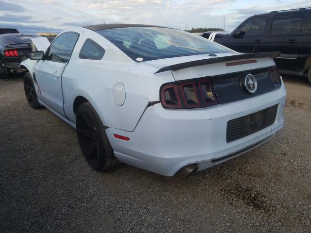 Photo 2 VIN: 1ZVBP8AM8D5264884 - FORD MUSTANG 