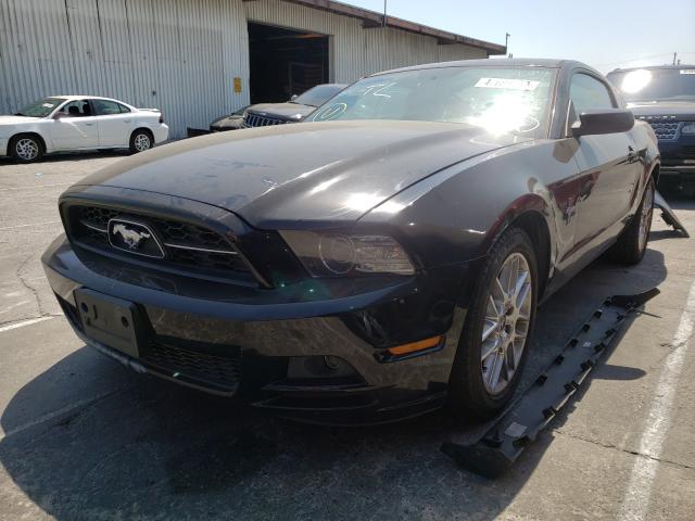 Photo 1 VIN: 1ZVBP8AM8D5271656 - FORD MUSTANG 