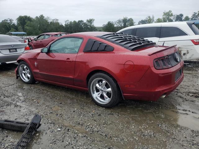 Photo 1 VIN: 1ZVBP8AM8E5200488 - FORD MUSTANG 