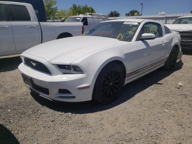 Photo 1 VIN: 1ZVBP8AM8E5201656 - FORD MUSTANG 