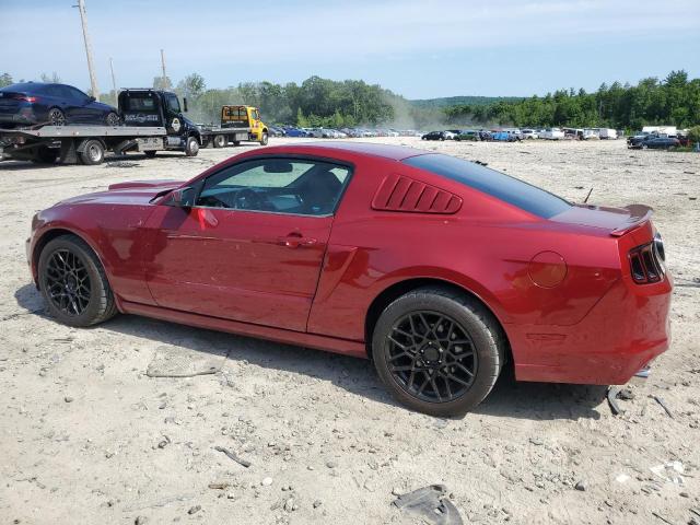 Photo 1 VIN: 1ZVBP8AM8E5202337 - FORD MUSTANG 