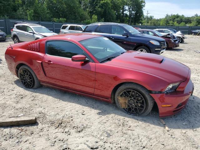 Photo 3 VIN: 1ZVBP8AM8E5202337 - FORD MUSTANG 