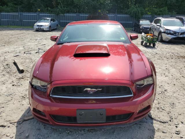 Photo 4 VIN: 1ZVBP8AM8E5202337 - FORD MUSTANG 