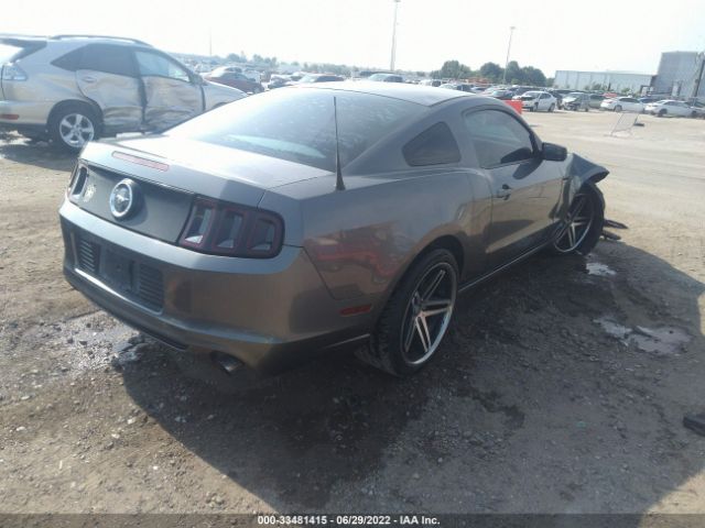 Photo 3 VIN: 1ZVBP8AM8E5207506 - FORD MUSTANG 