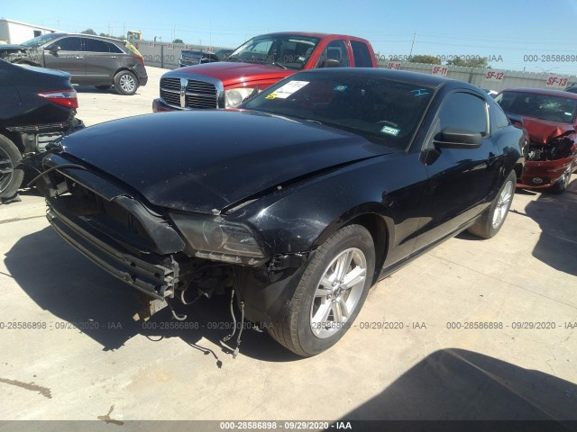 Photo 1 VIN: 1ZVBP8AM8E5207523 - FORD MUSTANG 