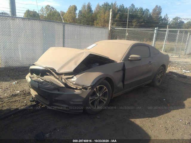 Photo 1 VIN: 1ZVBP8AM8E5210731 - FORD MUSTANG 