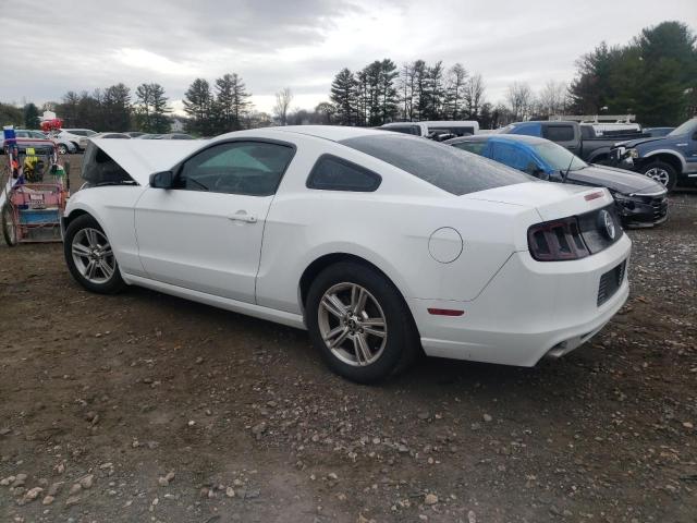 Photo 1 VIN: 1ZVBP8AM8E5211605 - FORD MUSTANG 